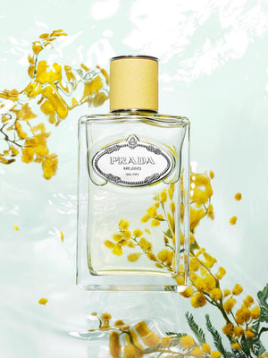 Prada Les Infusions for Women Prada Les Infusions for Women