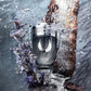 Paco Invictus Platinum for Men