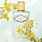 Prada Les Infusions for Women