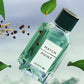 Lacoste Match Point for Men