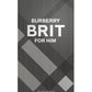 Burberry Brit for Men