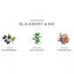 Jo Malone Blackberry & Bay for Unisex